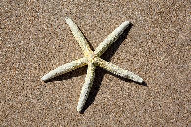 《拳皇15》免费DLC角色“高尼茨” 6月20日上线